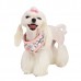 Pettorina Pinkaholic ZINNIA HARNESS